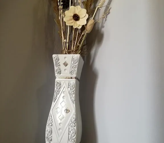 فندق Primavera بورتو سيساريو